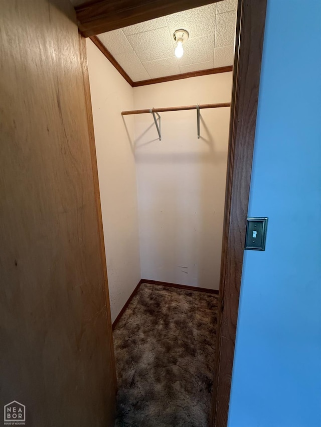 710 E Jackson St, Piggott, AR 72454 - photo 42