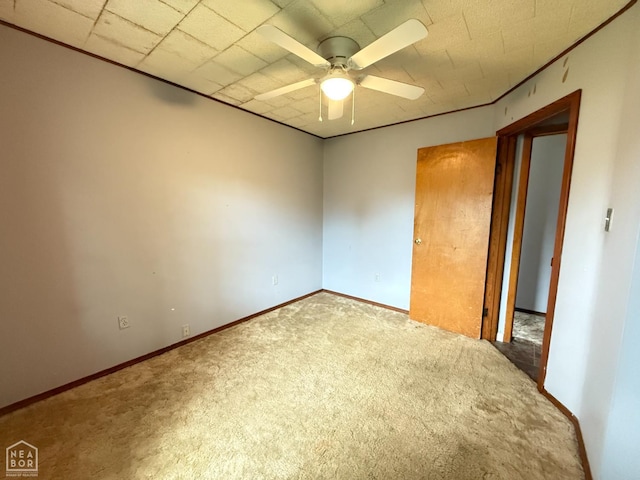710 E Jackson St, Piggott, AR 72454 - photo 32