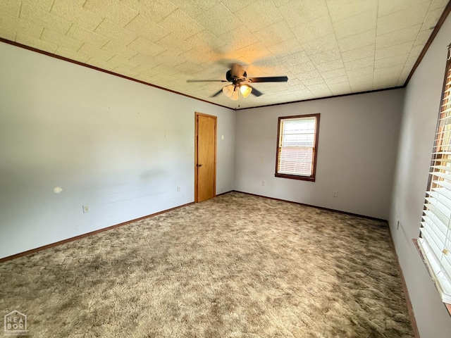 710 E Jackson St, Piggott, AR 72454 - photo 41