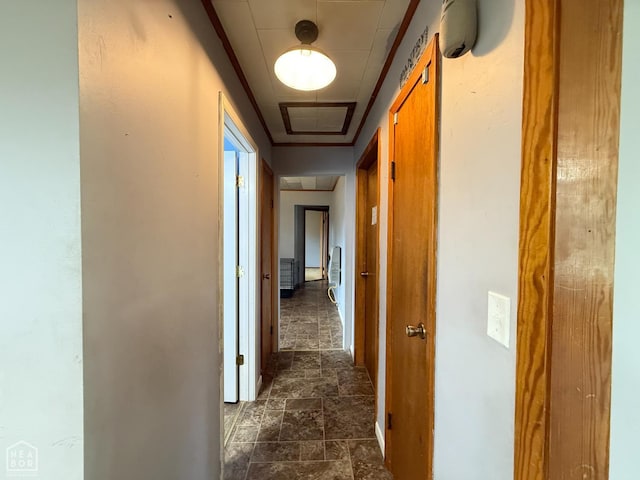 710 E Jackson St, Piggott, AR 72454 - photo 19