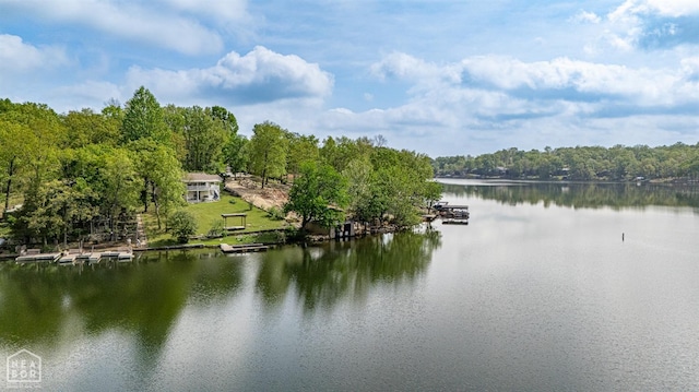 10 Winnebago Cir, Cherokee Village, AR 72529 - photo 40