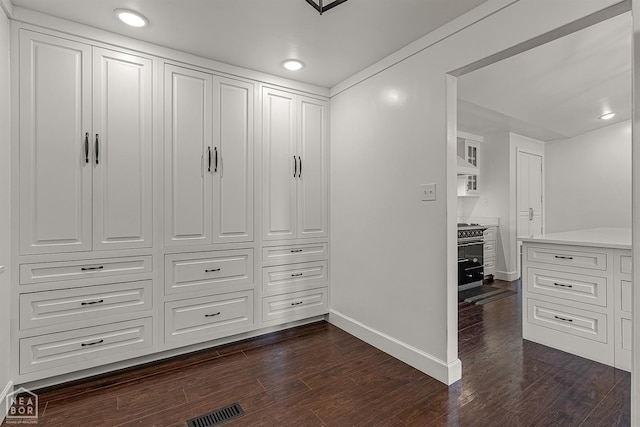 walk in closet featuring visible vents and dark wood-style flooring