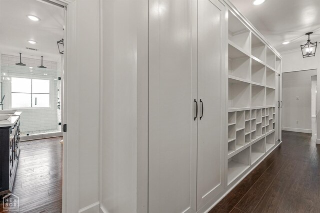 spacious closet featuring dark wood-type flooring and visible vents