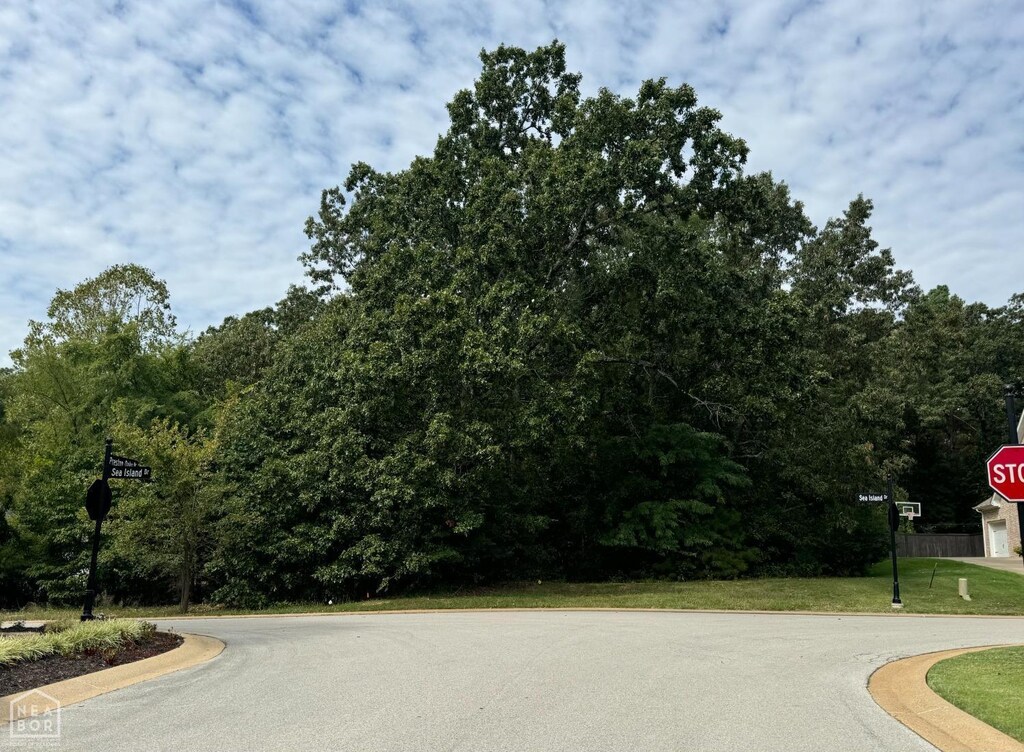 2401 Sea Island Dr, Jonesboro, AR 72404 - photo 1