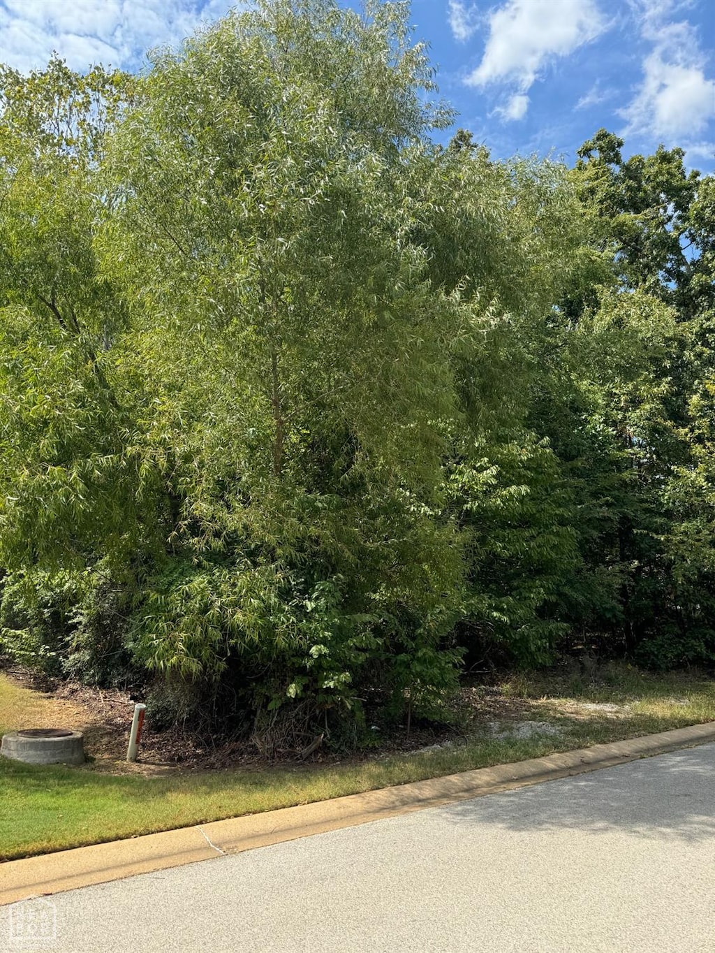 2401 Sea Island Dr, Jonesboro, AR 72404 - photo 2