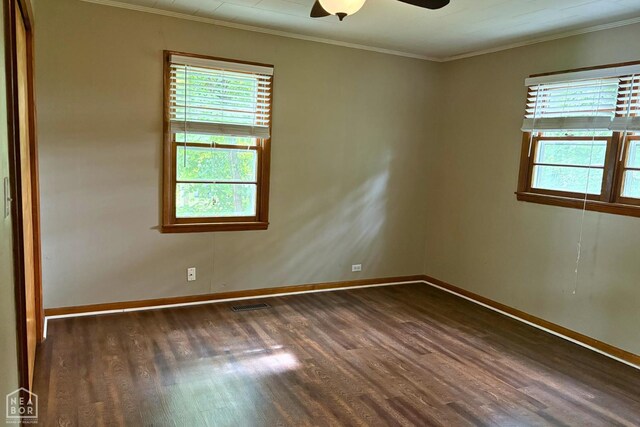 816 W Park St, Paragould, AR 72450 - photo 7