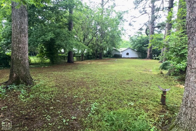 816 W Park St, Paragould, AR 72450 - photo 9
