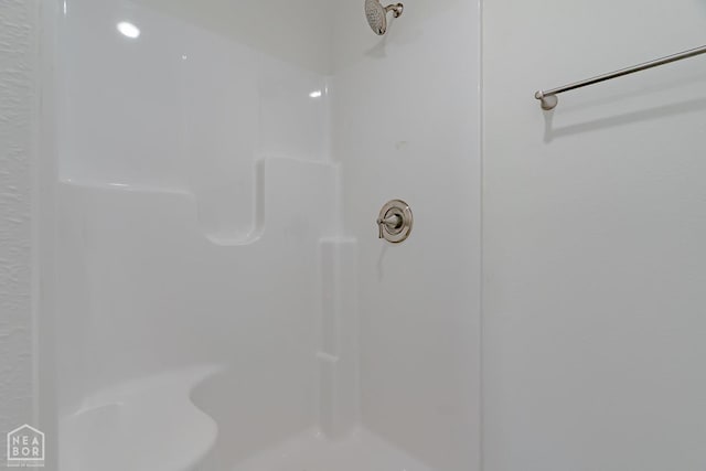 2516 Rebecca Dr, Pocahontas, AR 72455 - bathroom with a shower