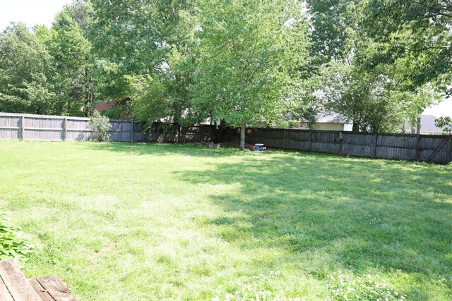 view of yard featuring a fenced backyard