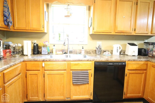 kitchen with black dishwasher and a sink