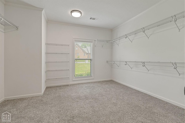walk in closet with visible vents and carpet