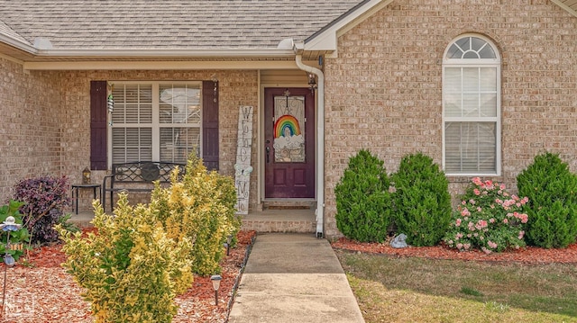 view of exterior entry featuring roof with shingles, covered porch, and brick siding