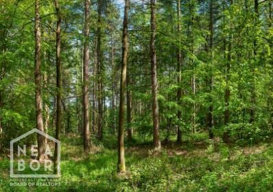 2 County Road 714, Jonesboro, AR 72405 - photo 2
