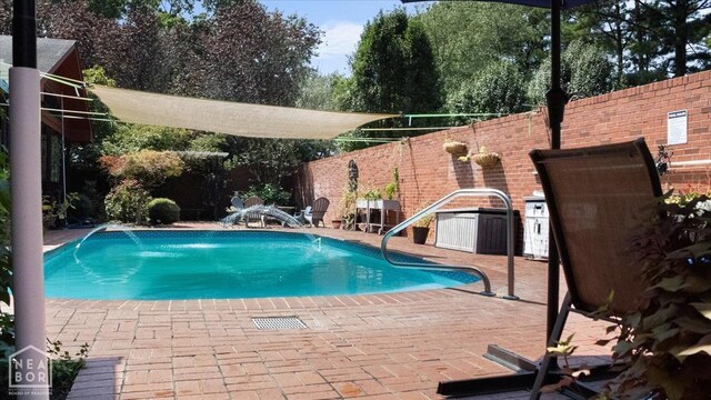view of pool with a patio, a fenced backyard, and a fenced in pool