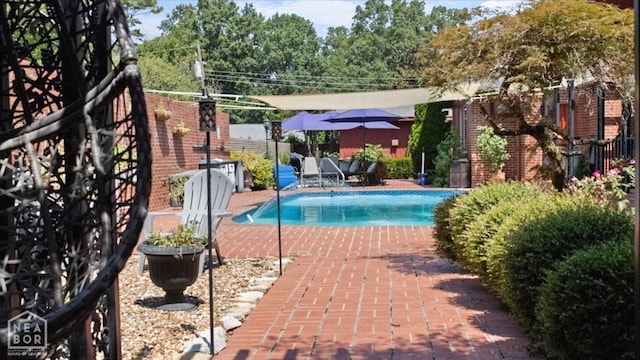 view of swimming pool featuring a patio area, fence, and a fenced in pool