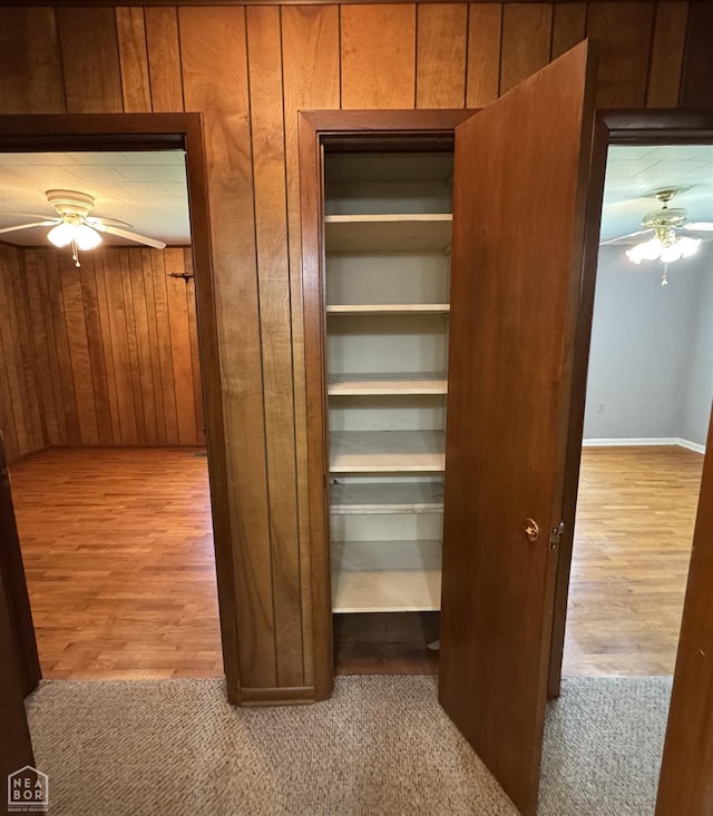937 Homecrest Dr, Piggott, AR 72454 - view of closet