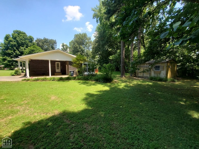 937 Homecrest Dr, Piggott, AR 72454 - view of grassy yard with a shed and driveway