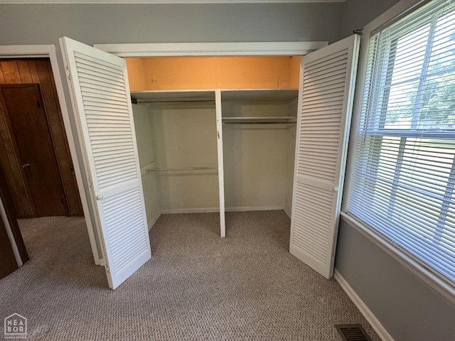 937 Homecrest Dr, Piggott, AR 72454 - view of closet