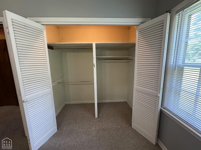 937 Homecrest Dr, Piggott, AR 72454 - view of closet