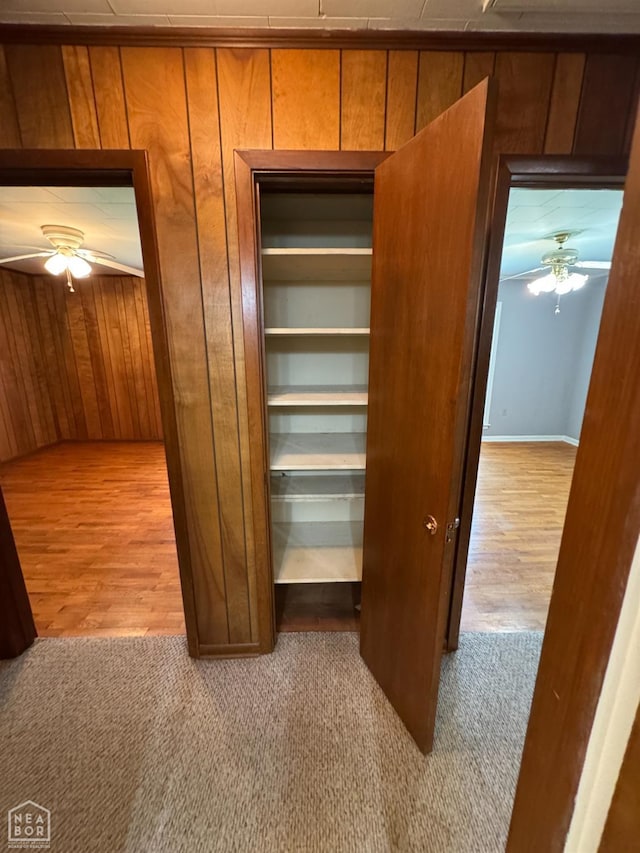 937 Homecrest Dr, Piggott, AR 72454 - view of closet