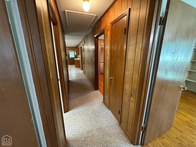 937 Homecrest Dr, Piggott, AR 72454 - corridor with attic access and light wood-type flooring