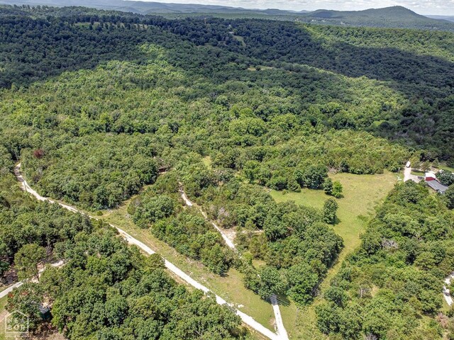 205 Cooper Kate Trl, Norfork, AR 72658 - photo 52