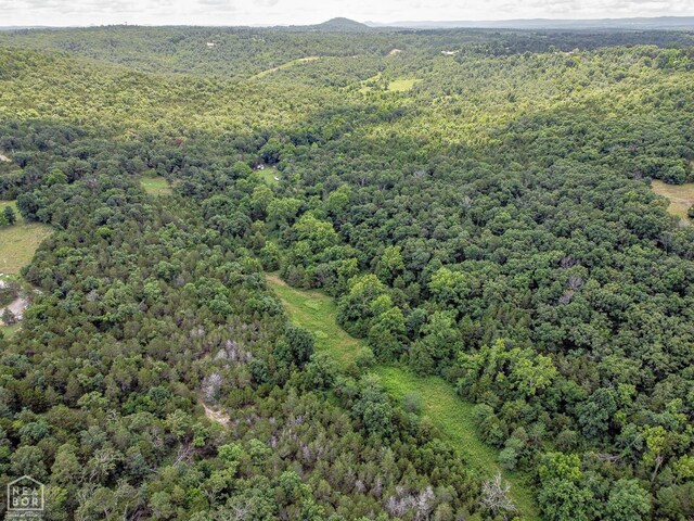 205 Cooper Kate Trl, Norfork, AR 72658 - photo 57