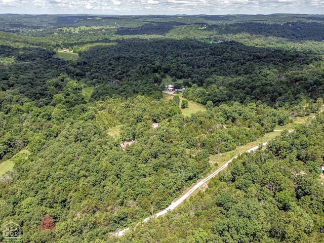 205 Cooper Kate Trl, Norfork, AR 72658 - photo 54