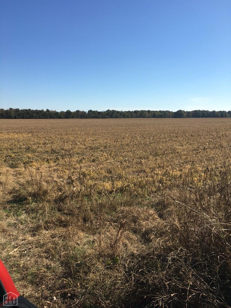 1 County Road 342, Jonesboro, AR 72401 - photo 2