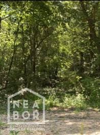304 Greene 750th Rd, Paragould, AR 72450 - photo 1
