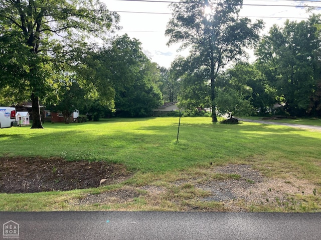 573 S Houston Ave, Piggott, AR 72454