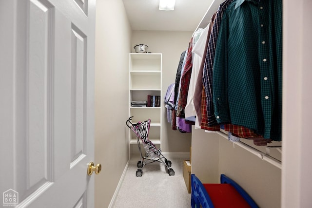 spacious closet with carpet flooring