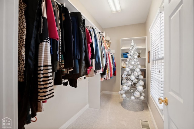 spacious closet featuring visible vents and carpet