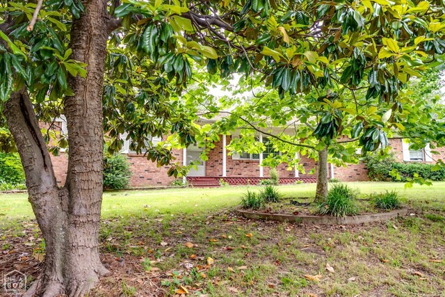312 N E St, Harrisburg, AR 72432 - photo 5