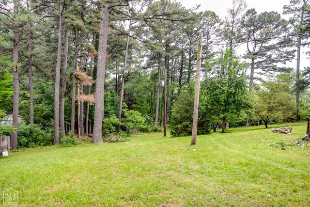312 N E St, Harrisburg, AR 72432 - photo 45