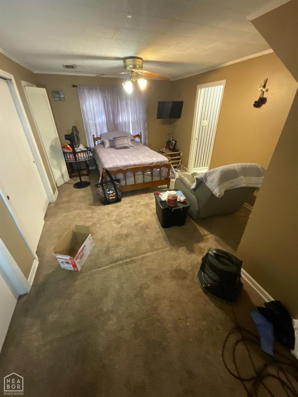 1911 Hyde Park Cv, Paragould, AR 72450 - bedroom featuring ornamental molding, carpet floors, ceiling fan, and visible vents