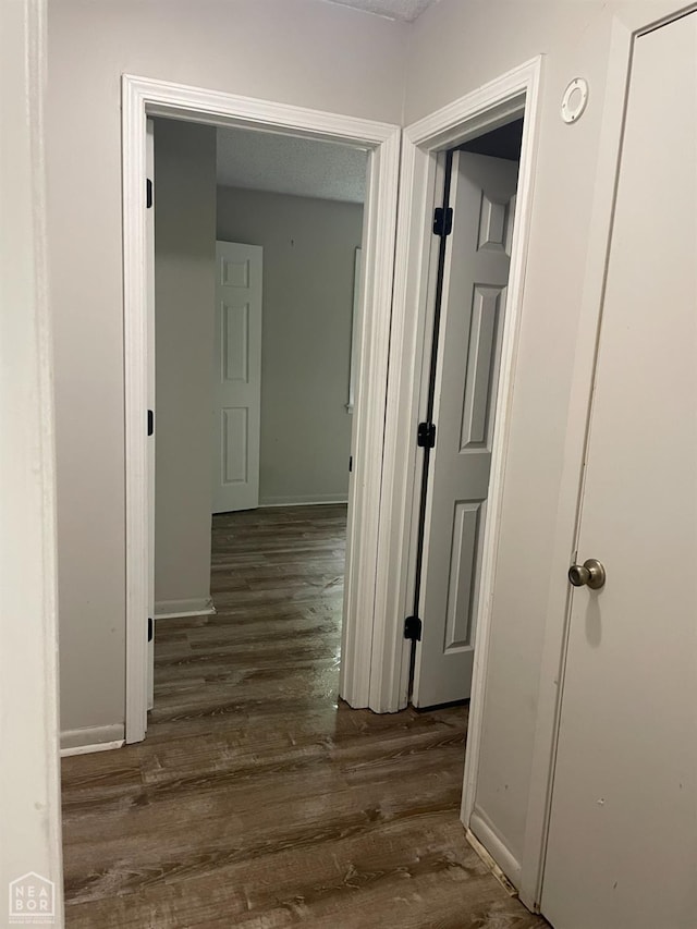 313 Olive St, Trumann, AR 72472 - hallway featuring wood finished floors and baseboards
