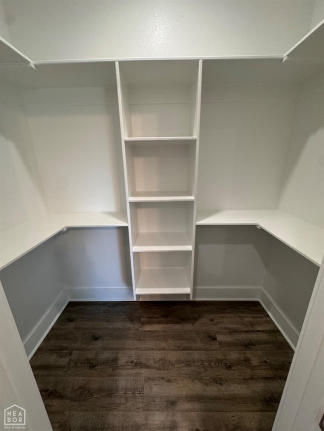 210 E College St, Bono, AR 72416 - walk in closet with dark wood-style flooring