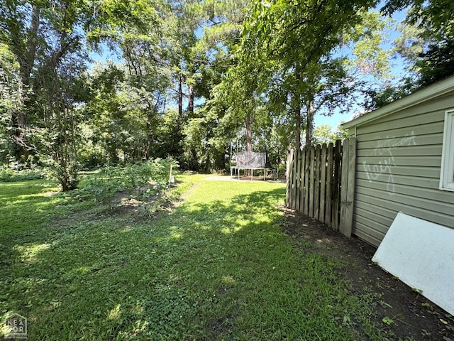 731 S Thornton Ave, Piggott, AR 72454 - view of yard
