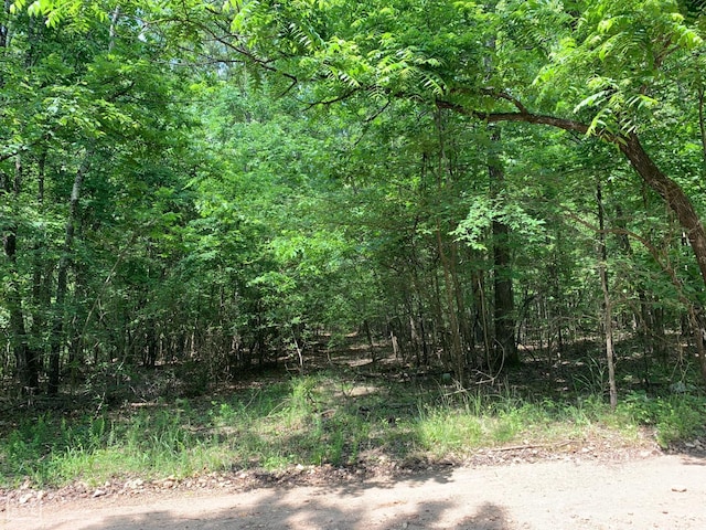 10 County Road 331, Bono, AR 72416 - photo 3