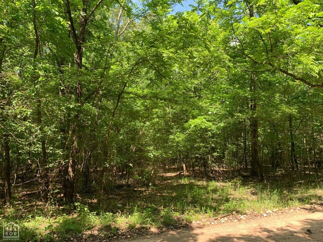 10 County Road 331, Bono, AR 72416 - photo 4