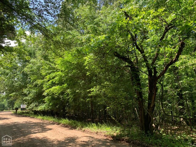 10 County Road 331, Bono, AR 72416 - photo 5