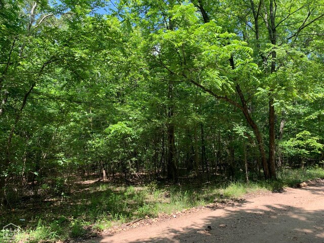 10 County Road 331, Bono, AR 72416 - photo 6