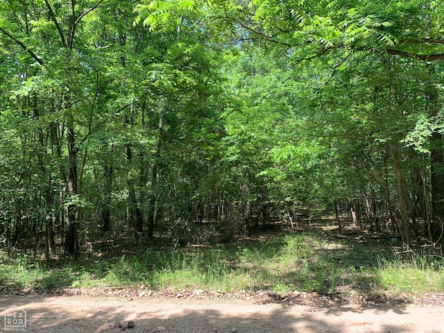 10 County Road 331, Bono, AR 72416 - photo 2