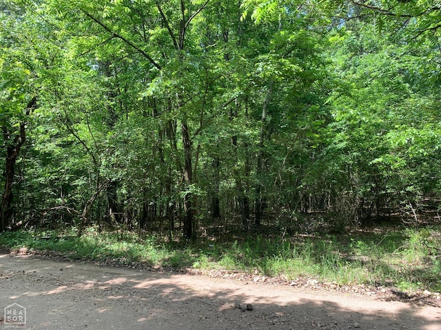 10 County Road 331, Bono, AR 72416 - photo 1
