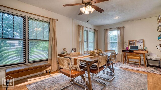 644 W Matthews Ave, Jonesboro, AR 72401 - photo 16