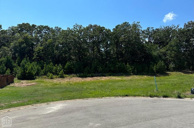 3911 Wigeon Cv, Jonesboro, AR 72404