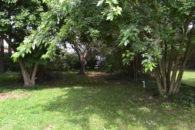 1808 Roy St, Jonesboro, AR 72401 - view of yard