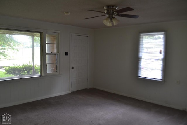 1808 Roy St, Jonesboro, AR 72401 - unfurnished room with carpet, ceiling fan, and healthy amount of natural light