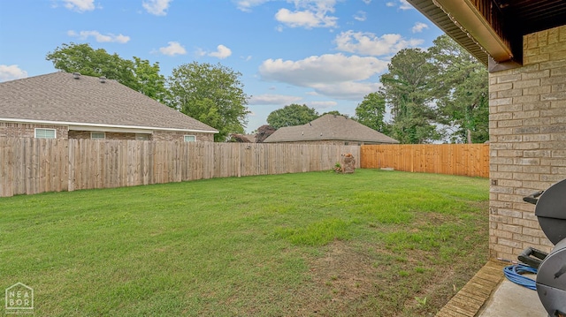 716 Gabe Ln, Manila, AR 72442 - view of yard